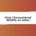 How I Encountered Wildlife on Safari