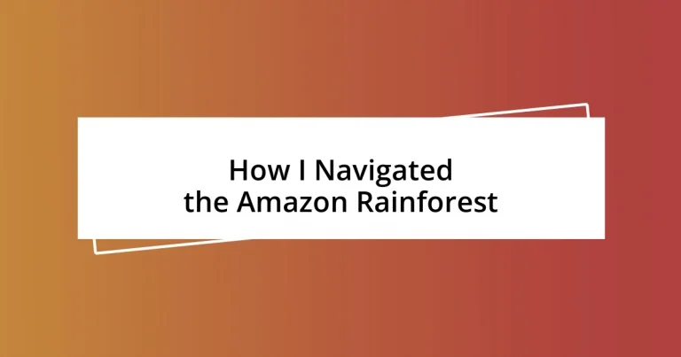 How I Navigated the Amazon Rainforest