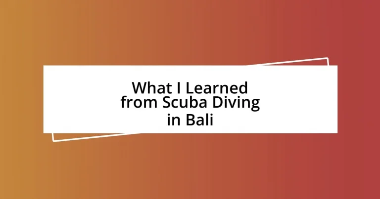 What I Learned from Scuba Diving in Bali